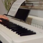 Read more about the article Best Budget Portable Piano Keyboard With 88 Weighted Keys